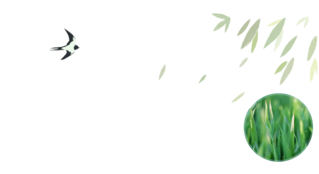 Ա�����ح�����ߡ������������˶�������������