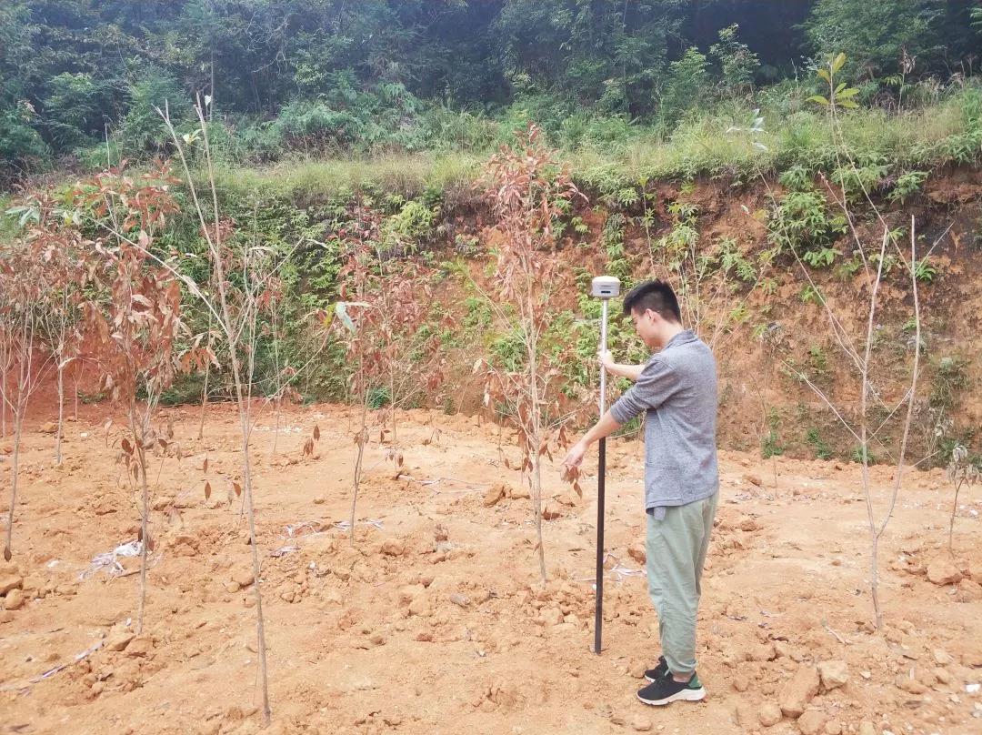 �������벿��Ŀ��ʵح���������������ĵر�ɣ�