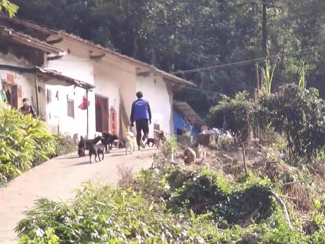 ��������һ����Ŀ��ʵح�޻��ഺ���������������Ƕ���������