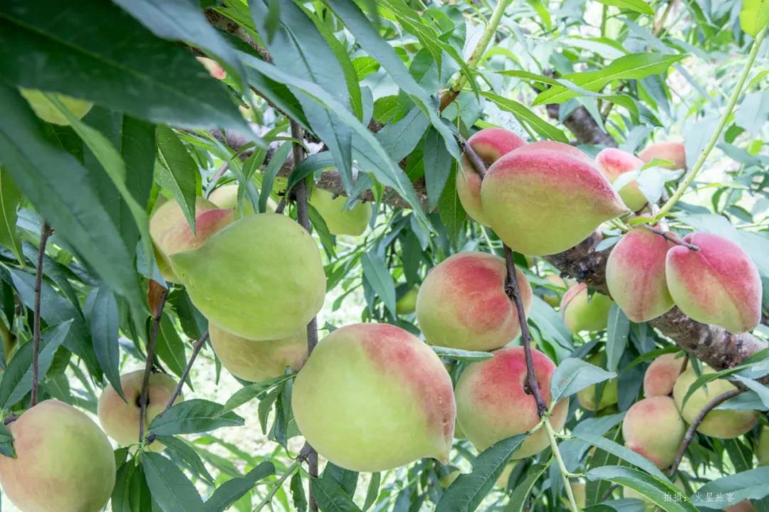 ��ũ�������Դӥ���������óԡ��ҡ�������