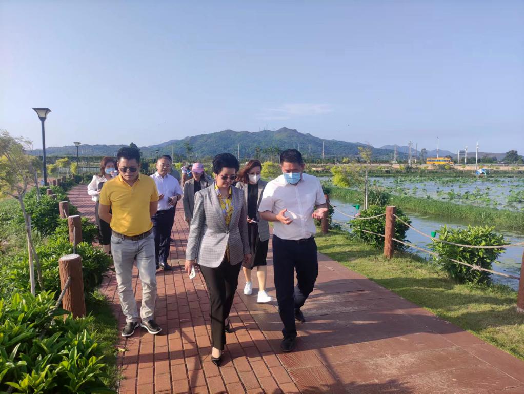 ʡ��̬�޸�Э����ֵ�᳤��λ���Ǽ��Ŵ��Ӹ���βȫ���������ξ����ں��Ե���Ŀ����