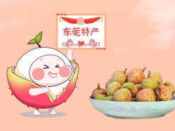 ��������حһ���С����¡�����֦��