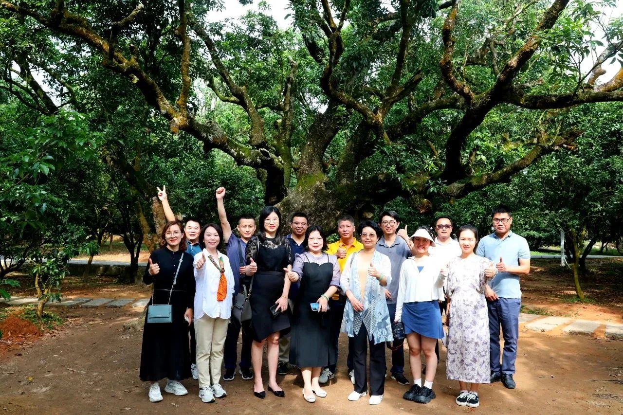 ���Ǽ�����Ϊʡ�����ռ���̬�޸�Э����ֵ�᳤���ӵ�������ȫ�������ۺ���������