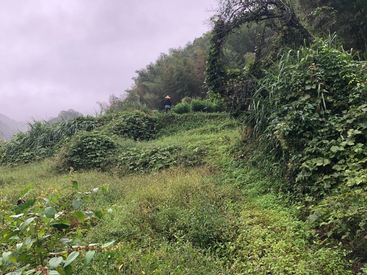 �������� | ��˾����������Ŀ�����ٵ��������������ĵر��������������ǻ�÷ᾰ